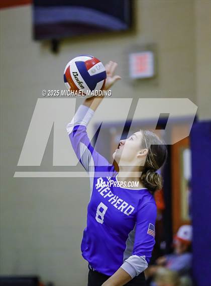 Thumbnail 3 in Shepherd @ Hardin-Jefferson photogallery.