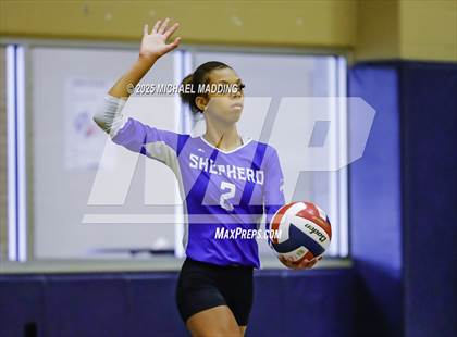 Thumbnail 1 in Shepherd @ Hardin-Jefferson photogallery.