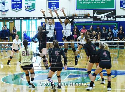 Thumbnail 3 in Kamehameha vs Ponderosa (Durango Fall Classic) photogallery.