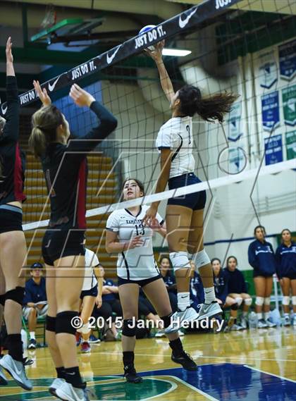 Thumbnail 1 in Kamehameha vs Ponderosa (Durango Fall Classic) photogallery.
