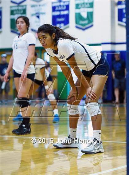 Thumbnail 3 in Kamehameha vs Ponderosa (Durango Fall Classic) photogallery.