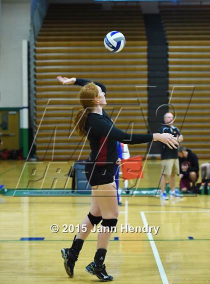 Thumbnail 3 in Kamehameha vs Ponderosa (Durango Fall Classic) photogallery.