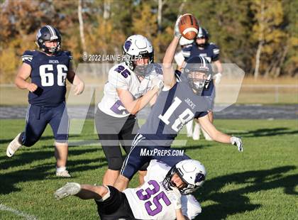 Thumbnail 3 in Buffalo @ Bemidji photogallery.