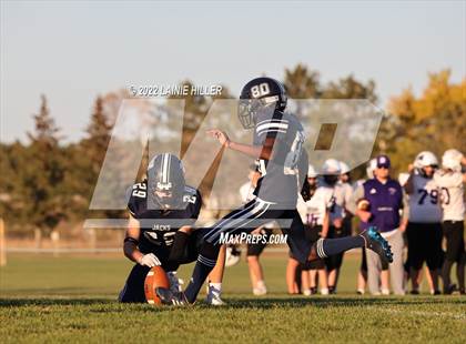 Thumbnail 1 in Buffalo @ Bemidji photogallery.