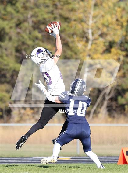 Thumbnail 2 in Buffalo @ Bemidji photogallery.