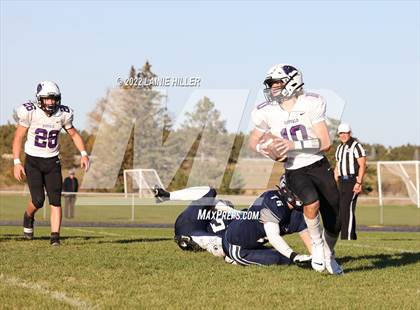 Thumbnail 2 in Buffalo @ Bemidji photogallery.