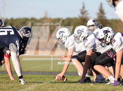 Thumbnail 1 in Buffalo @ Bemidji photogallery.