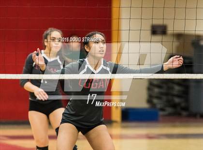 Thumbnail 1 in Pleasant Grove @ James Logan (CIF State Division 1 1st Round) photogallery.