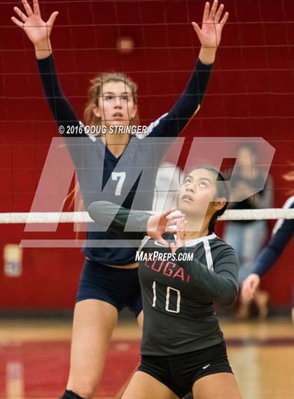 Thumbnail 2 in Pleasant Grove @ James Logan (CIF State Division 1 1st Round) photogallery.