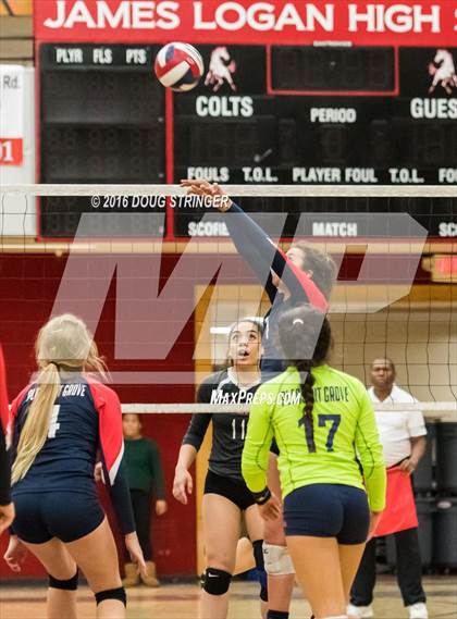 Thumbnail 1 in Pleasant Grove @ James Logan (CIF State Division 1 1st Round) photogallery.