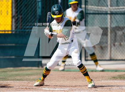 Thumbnail 1 in Century vs Temple City (CIF SS D5 Round 1 Playoff) photogallery.