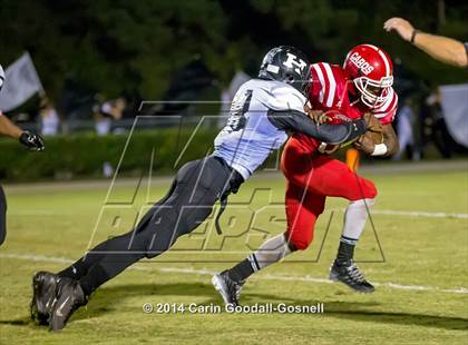 Thumbnail 3 in Havelock @ Jacksonville photogallery.