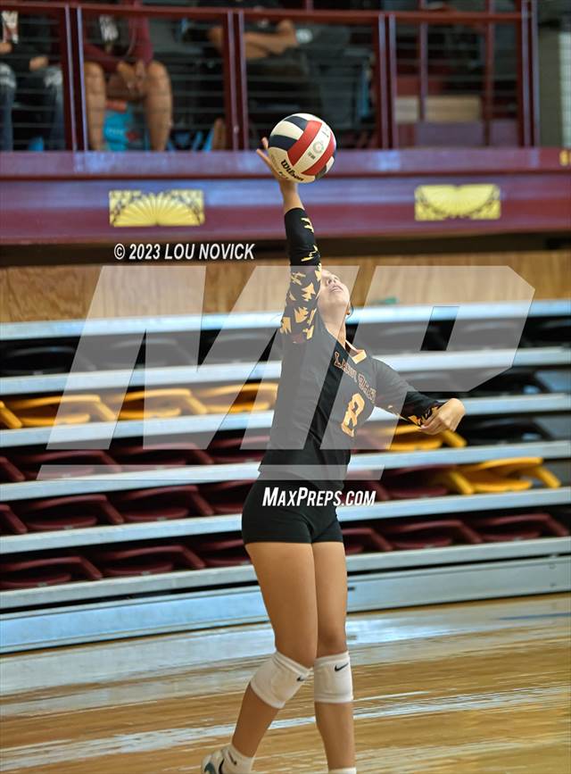 Latest volleyball scores discount