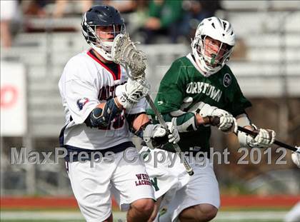 Thumbnail 3 in Yorktown @ Smithtown West photogallery.