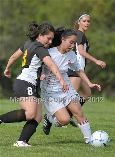 null - Photo 21
