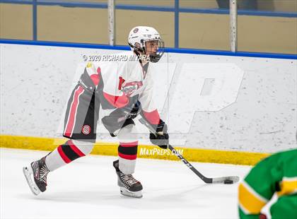 Thumbnail 1 in Bedford vs. Bishop Guertin (NHIAA D1 Semifinal) photogallery.
