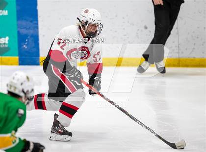 Thumbnail 2 in Bedford vs. Bishop Guertin (NHIAA D1 Semifinal) photogallery.