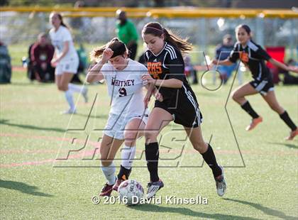 Thumbnail 1 in Roseville vs. Whitney photogallery.