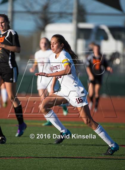 Thumbnail 2 in Roseville vs. Whitney photogallery.