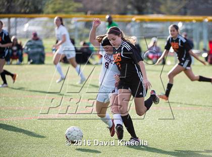 Thumbnail 2 in Roseville vs. Whitney photogallery.