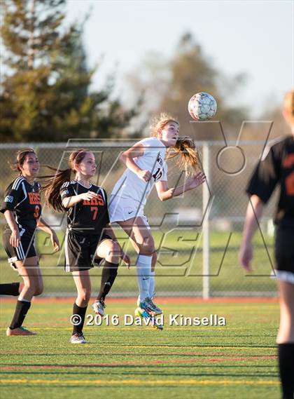 Thumbnail 1 in Roseville vs. Whitney photogallery.