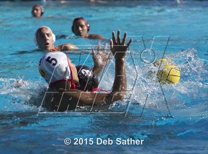 Thumbnail 1 in Palm Desert @ Palm Springs photogallery.