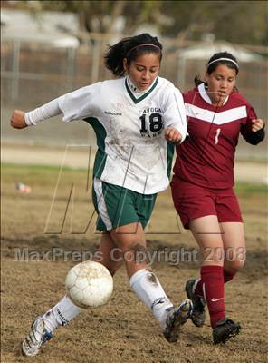 Thumbnail 1 in Van Nuys @ Canoga Park photogallery.