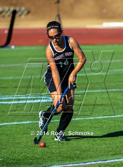 Thumbnail 1 in Torrey Pines vs. Vista photogallery.