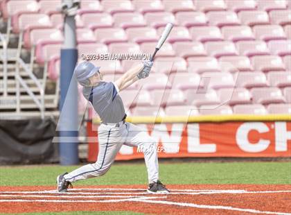 Thumbnail 1 in West Albany @ Ridgeview photogallery.