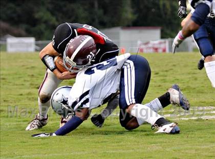 Thumbnail 2 in Farragut @ Bearden photogallery.