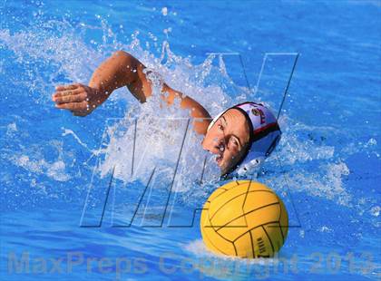 Thumbnail 2 in Long Beach Poly @ La Jolla photogallery.