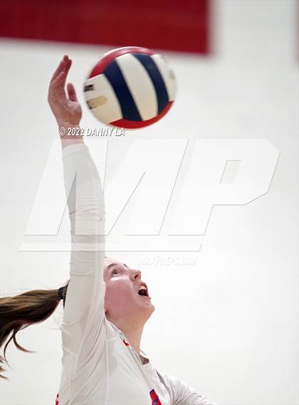 Thumbnail 1 in West Springfield @ Alexandria City photogallery.