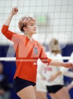 Photo from the gallery "West Springfield @ Alexandria City"