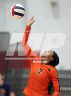 Photo from the gallery "West Springfield @ Alexandria City"
