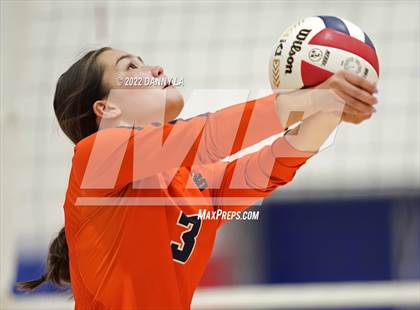 Thumbnail 3 in West Springfield @ Alexandria City photogallery.