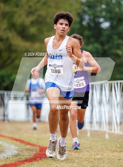 Thumbnail 2 in UIL Cross Country 1A Finals (5K) photogallery.