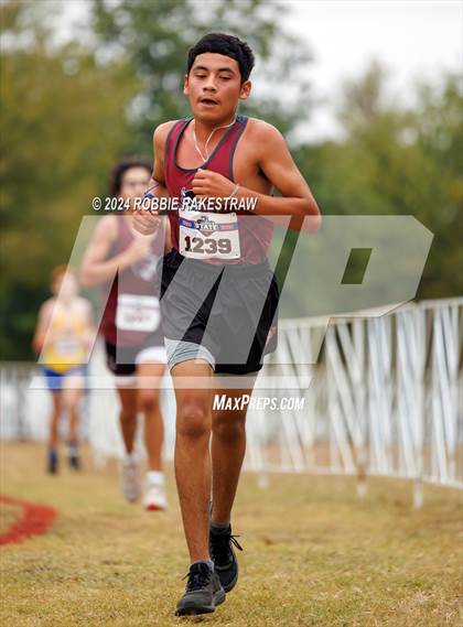Thumbnail 1 in UIL Cross Country 1A Finals (5K) photogallery.
