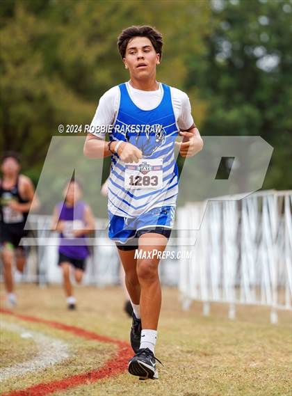 Thumbnail 1 in UIL Cross Country 1A Finals (5K) photogallery.