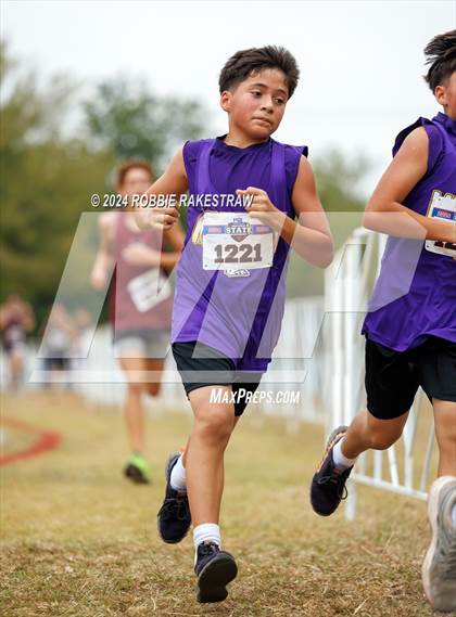 Thumbnail 3 in UIL Cross Country 1A Finals (5K) photogallery.