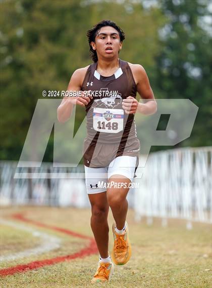 Thumbnail 2 in UIL Cross Country 1A Finals (5K) photogallery.