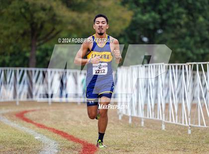 Thumbnail 2 in UIL Cross Country 1A Finals (5K) photogallery.