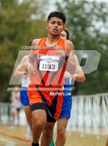 Thumbnail 1 in UIL Cross Country 1A Finals (5K) photogallery.