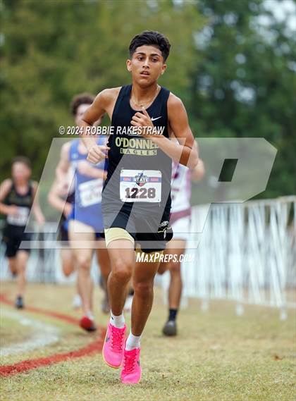Thumbnail 3 in UIL Cross Country 1A Finals (5K) photogallery.