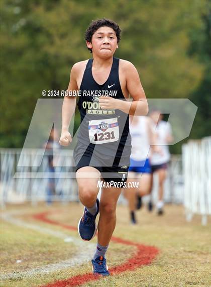 Thumbnail 3 in UIL Cross Country 1A Finals (5K) photogallery.