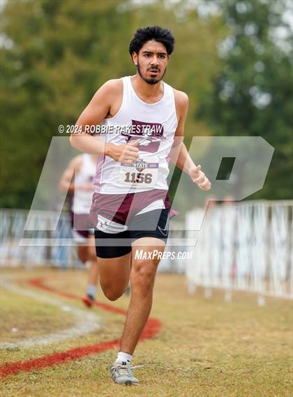 Thumbnail 2 in UIL Cross Country 1A Finals (5K) photogallery.