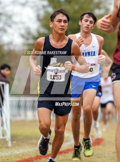 Thumbnail 2 in UIL Cross Country 1A Finals (5K) photogallery.
