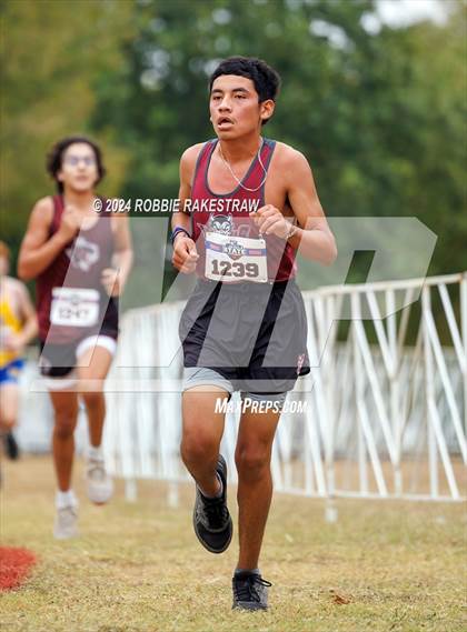 Thumbnail 2 in UIL Cross Country 1A Finals (5K) photogallery.
