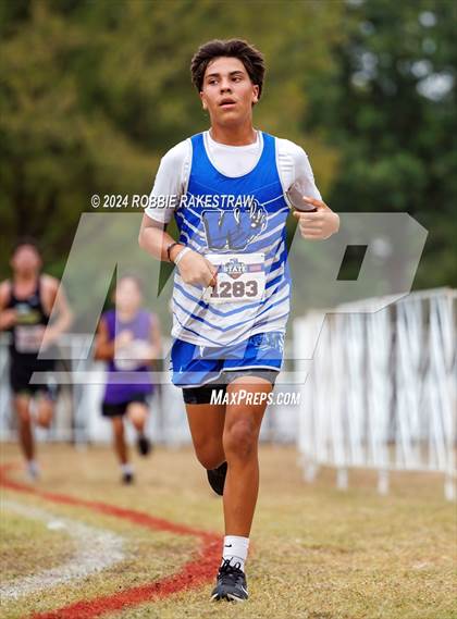 Thumbnail 2 in UIL Cross Country 1A Finals (5K) photogallery.