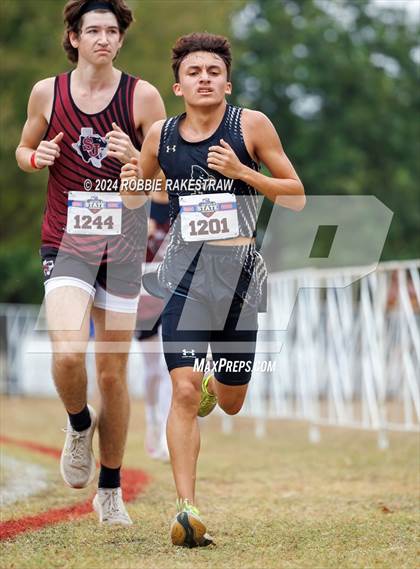 Thumbnail 2 in UIL Cross Country 1A Finals (5K) photogallery.