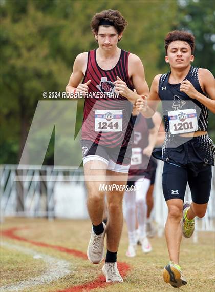 Thumbnail 1 in UIL Cross Country 1A Finals (5K) photogallery.